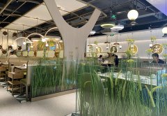 餐廳生意不好應該怎么辦，餐飲老兵的8條建議：其中有幾條餐飲人都踩過！